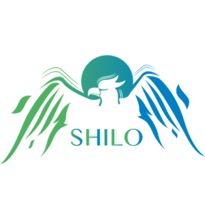 Shilo-renovation-energie